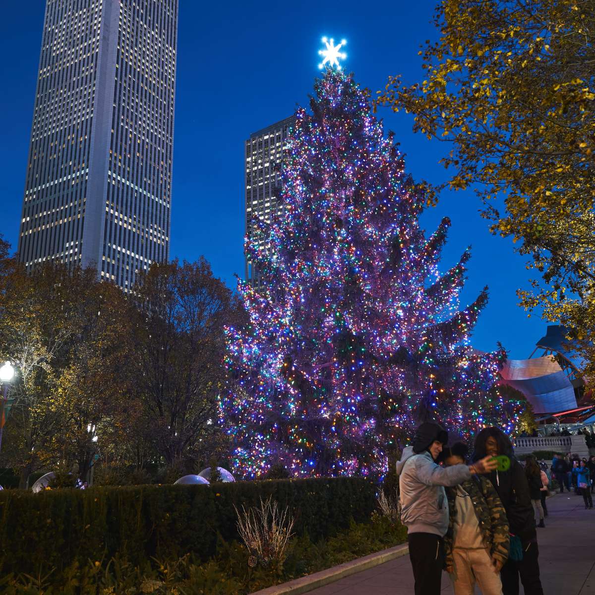 City of Chicago's 106th Christmas Tree