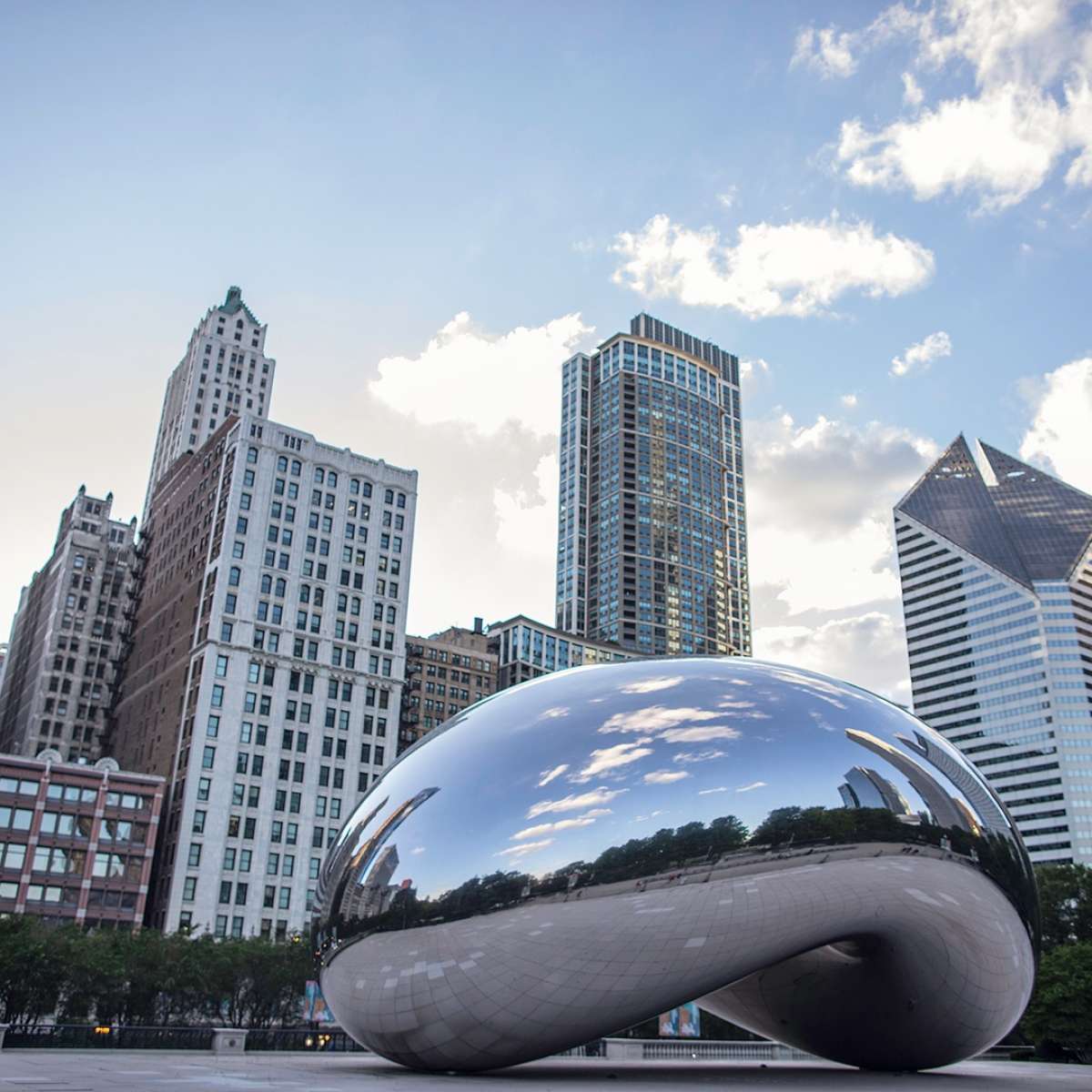 Millennium Park Living, Inc | Loop Chicago