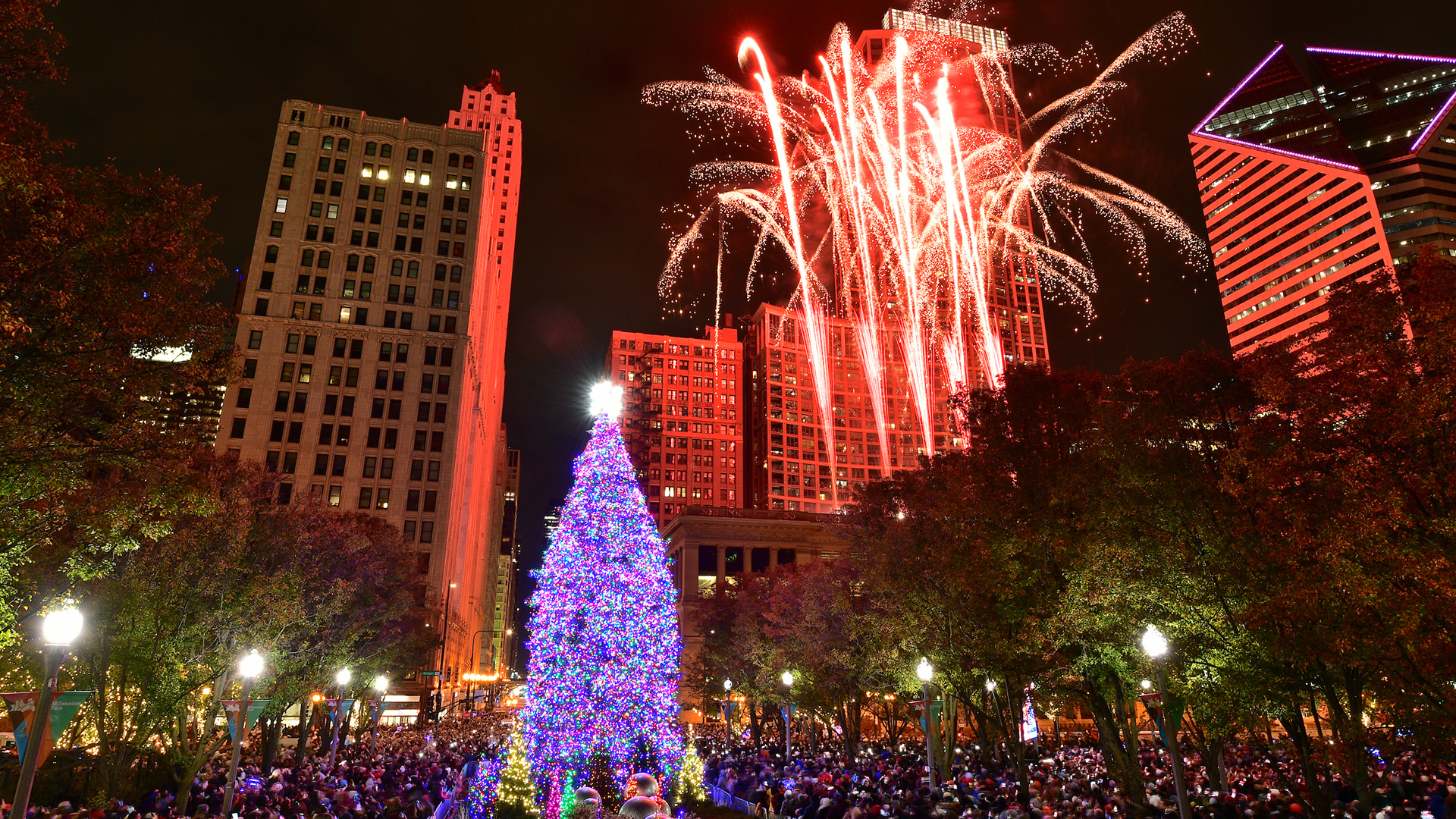 Best Spots for Christmas Lights in Chicago