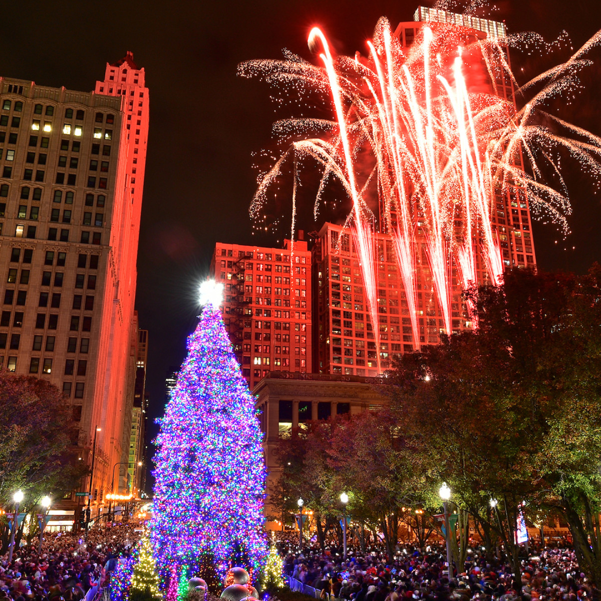 Chicago Christmas Tree lighting ceremony in Millennium Park