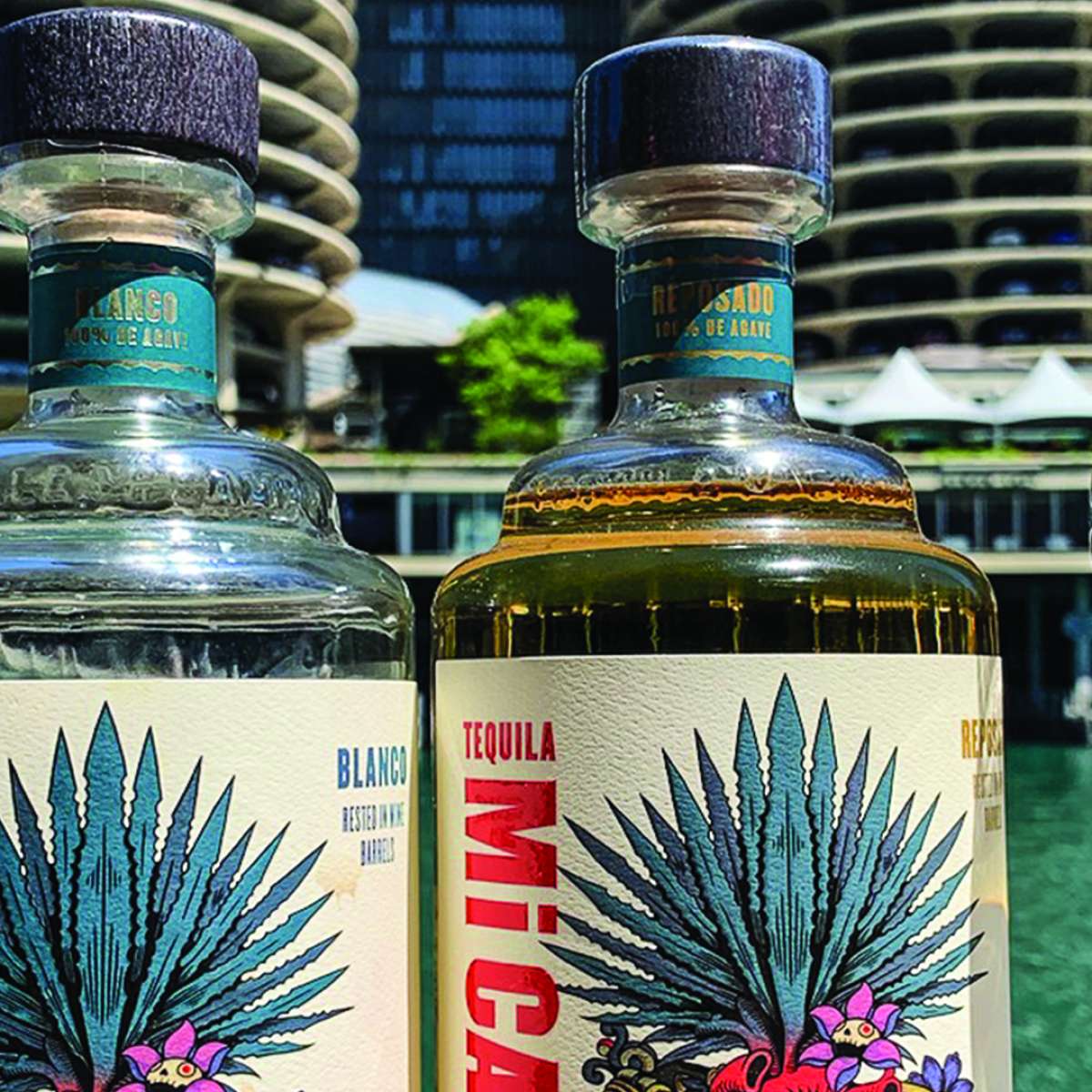 mi-campo-tequila-chef-tasting-and-pairing-loop-chicago