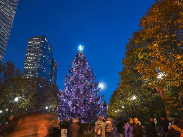 Iconic Christmas Trees In The Chicago Loop