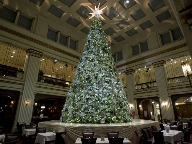 Iconic Christmas Trees in the Chicago Loop