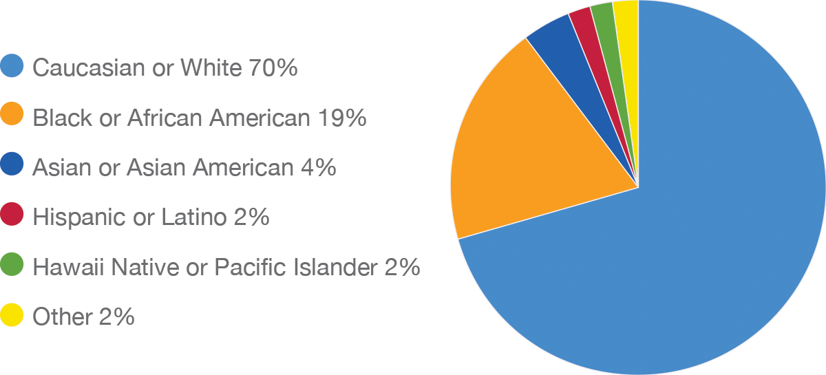 IDEA Chart: CLA Board of Directors Demographics