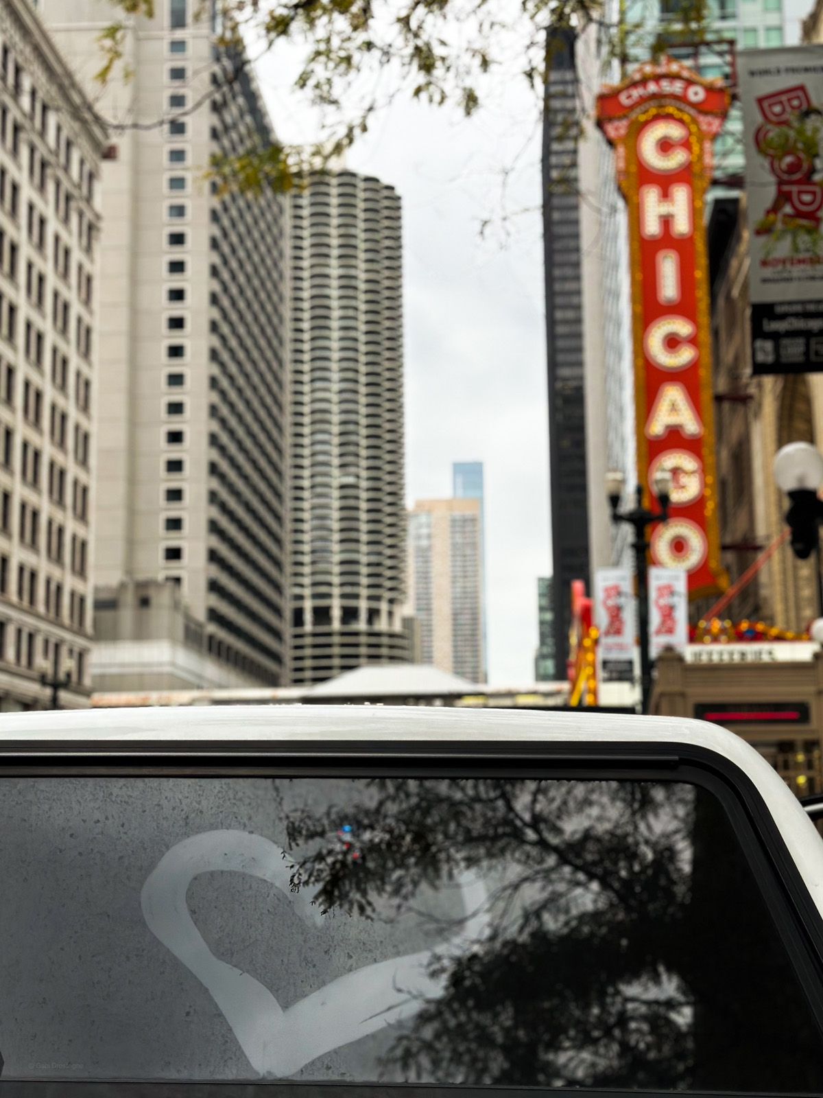 Chicago Loop in Fall; Photo by Gabi Dressligne