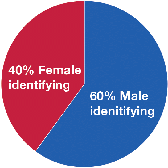 IDEA Chart: CLA Board of Directors Demographics