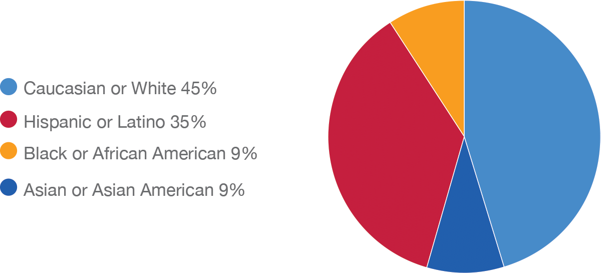 IDEA Chart: CLA Staff Demographics