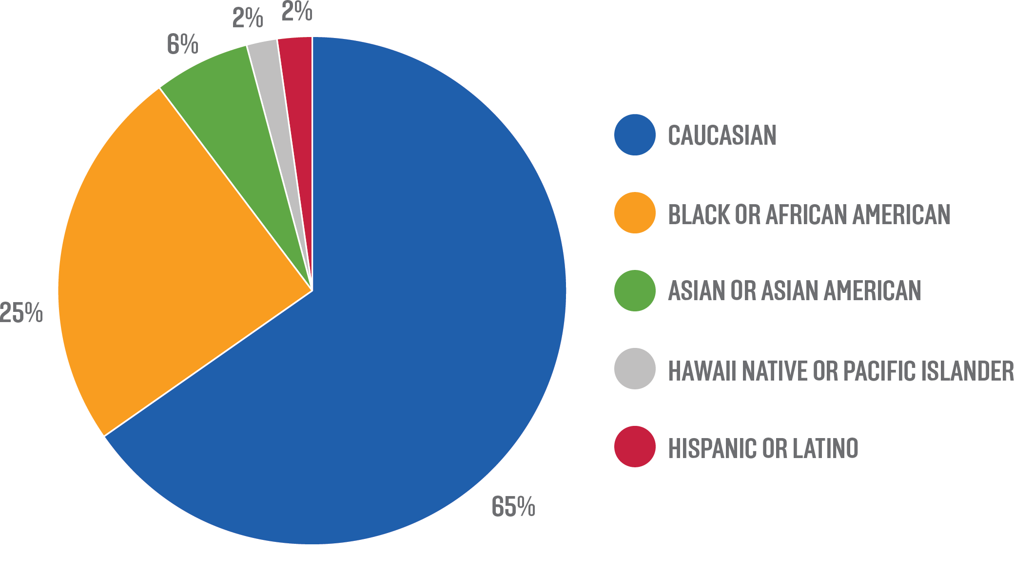 Chicago Loop Alliance Board Demographics Ethnicity or Race