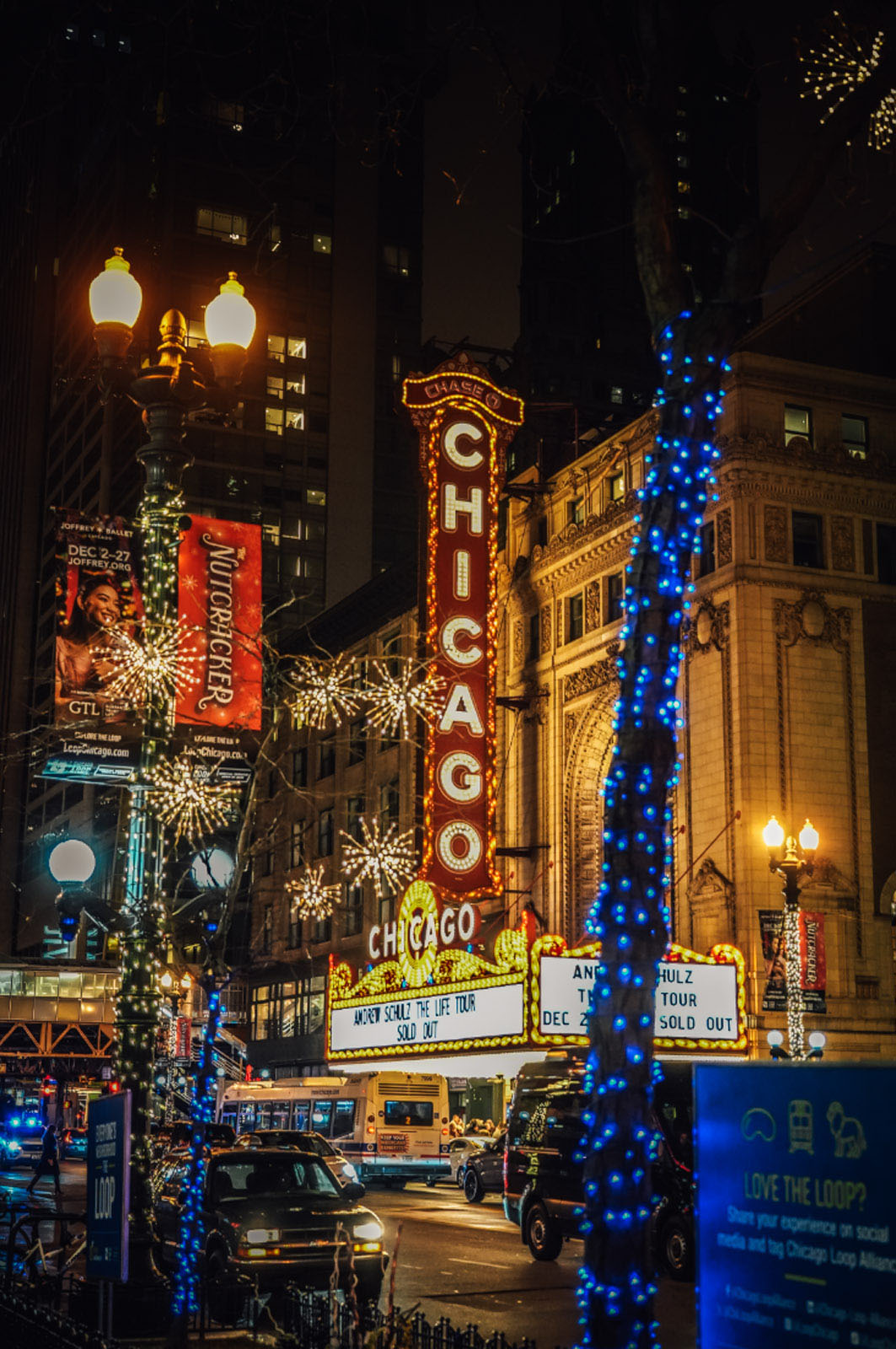 Holiday Lights; Photo by Torque