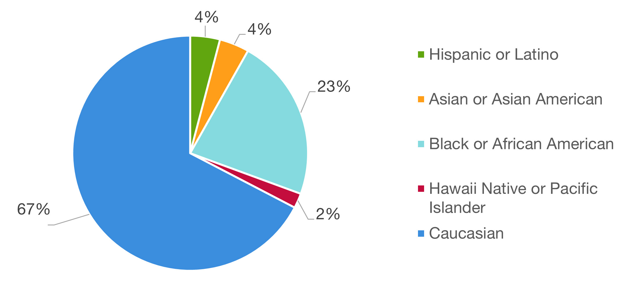 Chicago Loop Alliance Board Demographics Ethnicity or Race