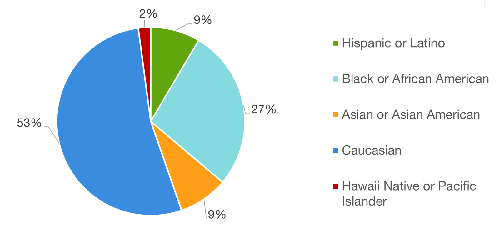 Chicago Loop Alliance Board Demographics Ethnicity or Race