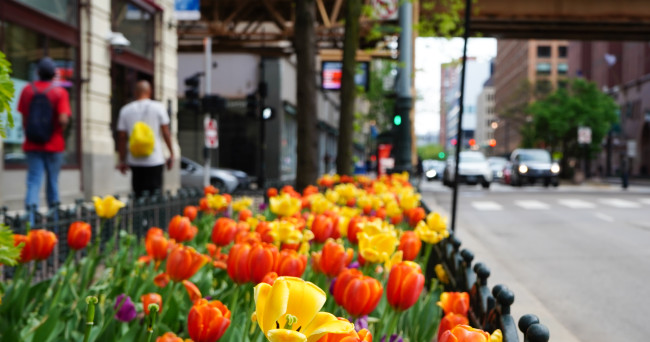 New study reveals Chicago Loop tops U.S. downtowns by most value metrics