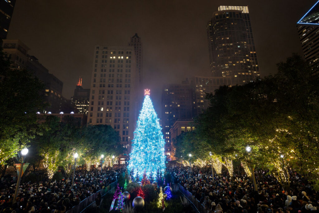 110th City of Chicago Christmas Tree is coming from Darien, Illinois