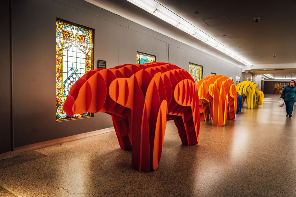 Bears hibernating in the Chicago pedway