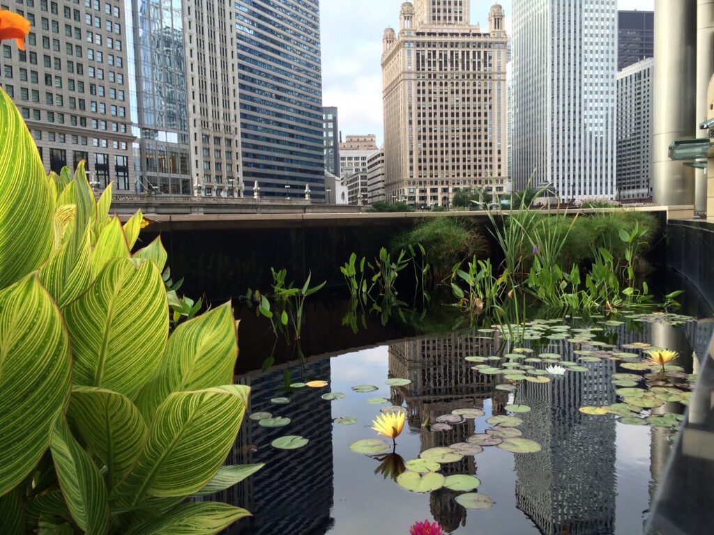 Balanced Environments, Inc.