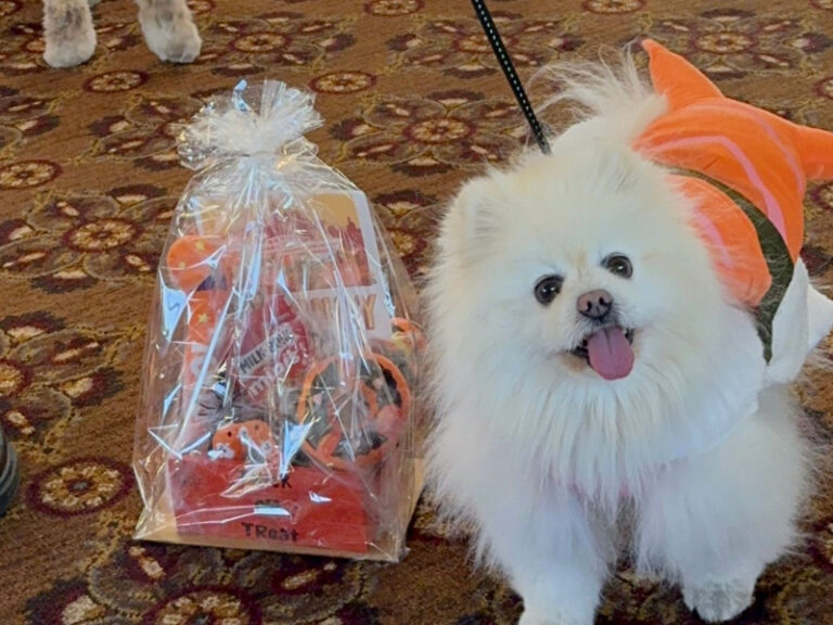 Howl-O-Ween Canine Cruise