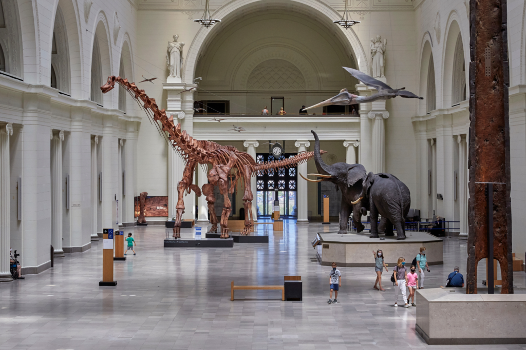Field Museum