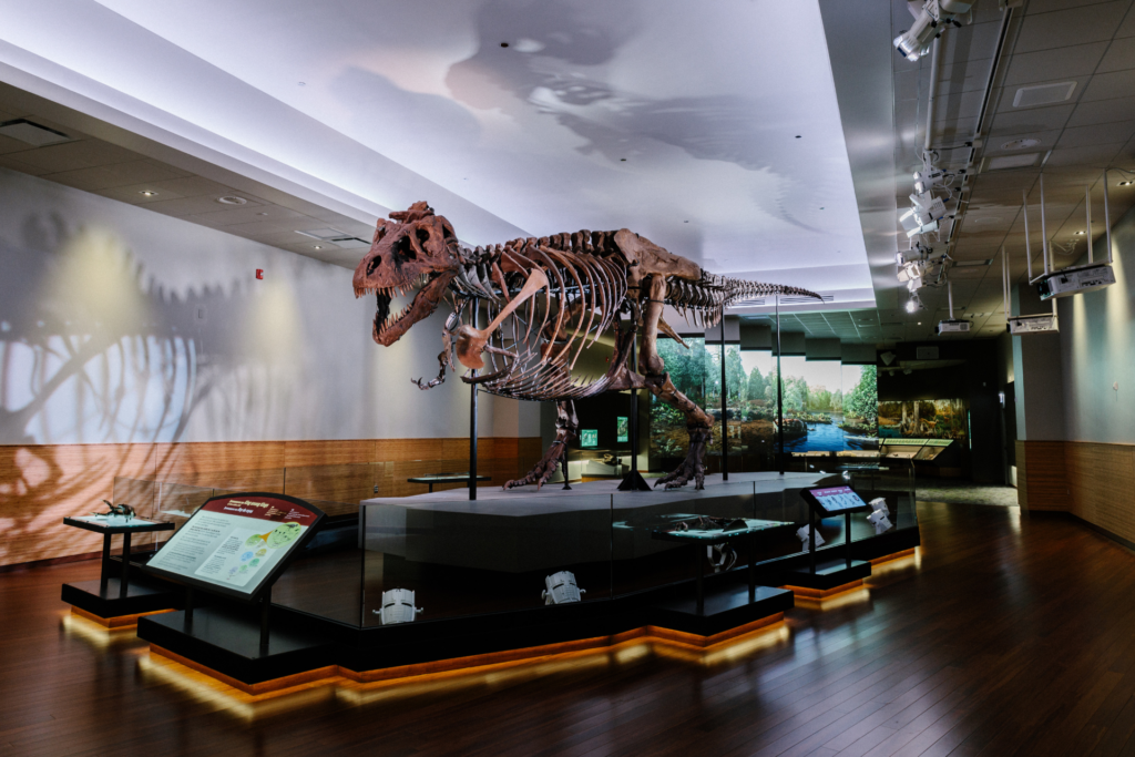 Field Museum
