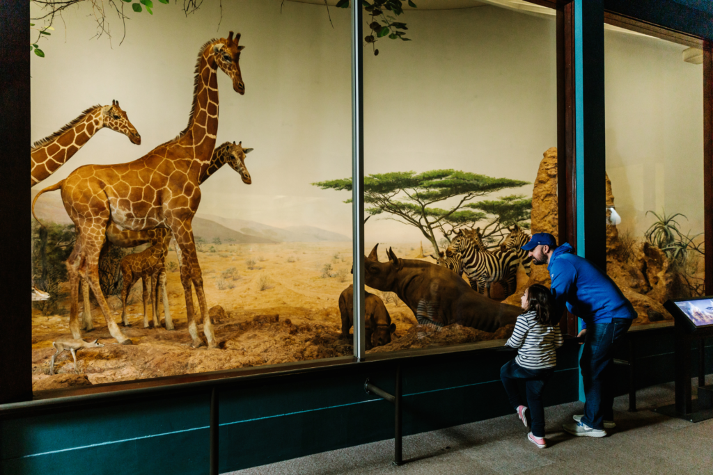 Field Museum