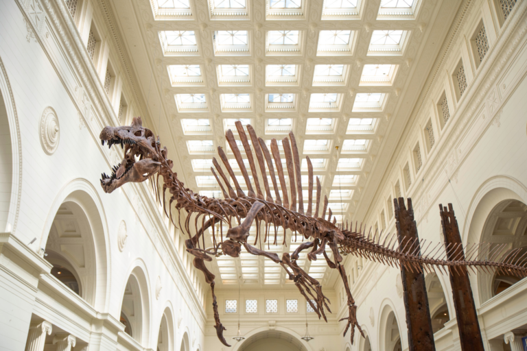 Field Museum