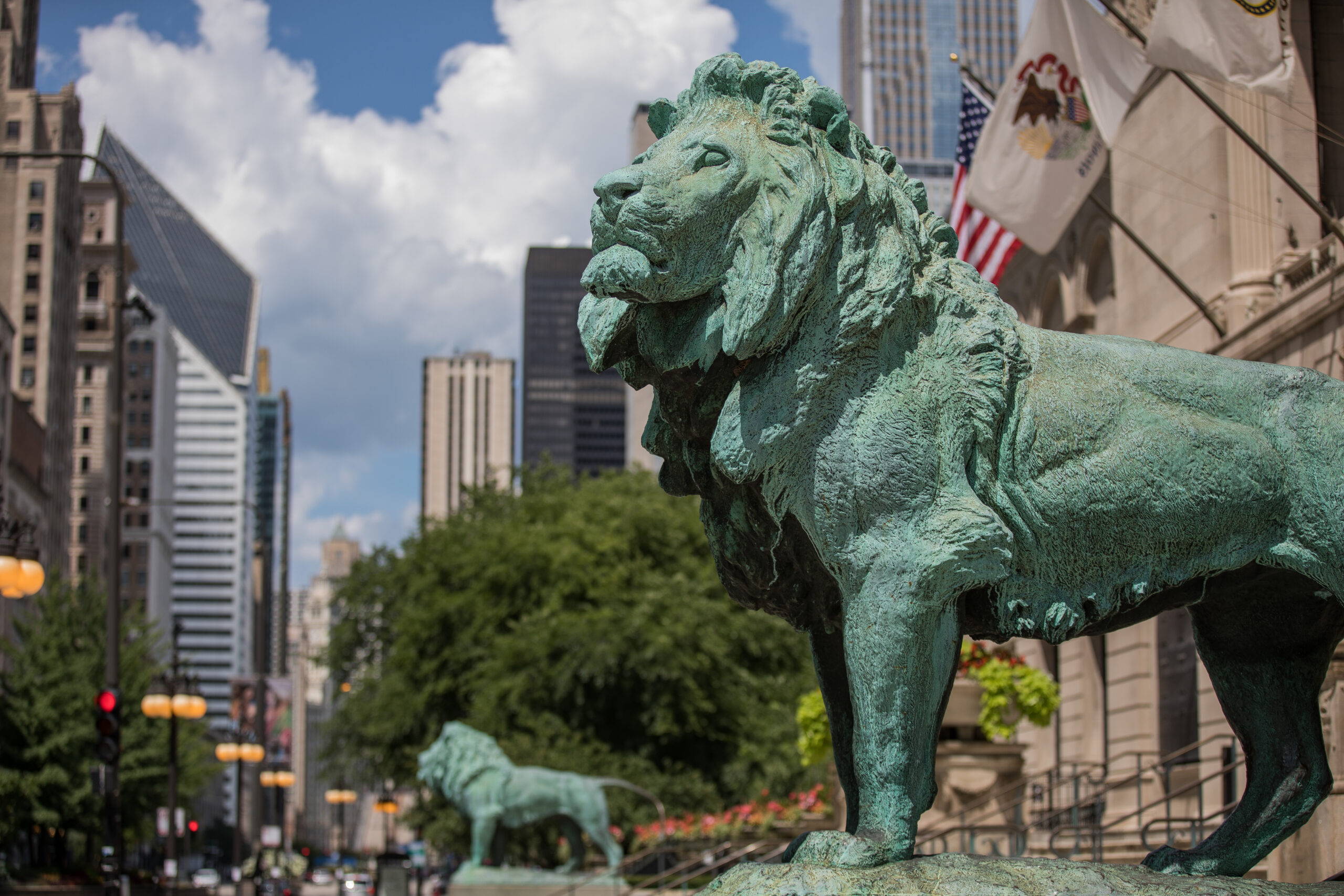Lions at The Art Institute of Chicago - Loop Chicago